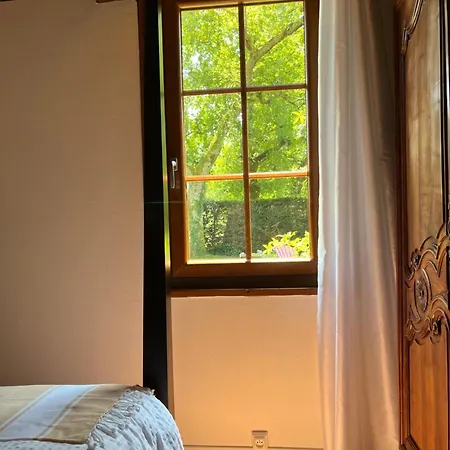 Le Chêne Magique 40200 Léontine *